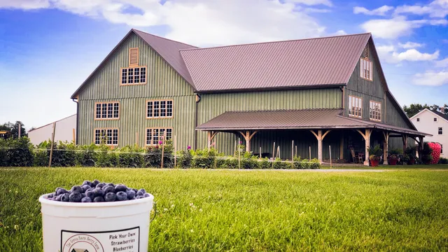 The Green Barn Berry Farm