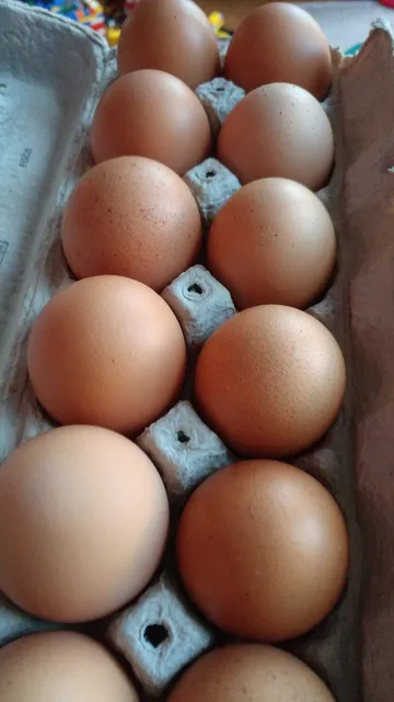 Pine Creek Processing