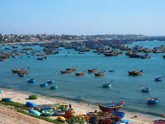 Mui Ne Fishing Harbour