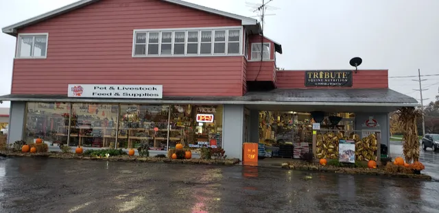 Reed's Services, Inc