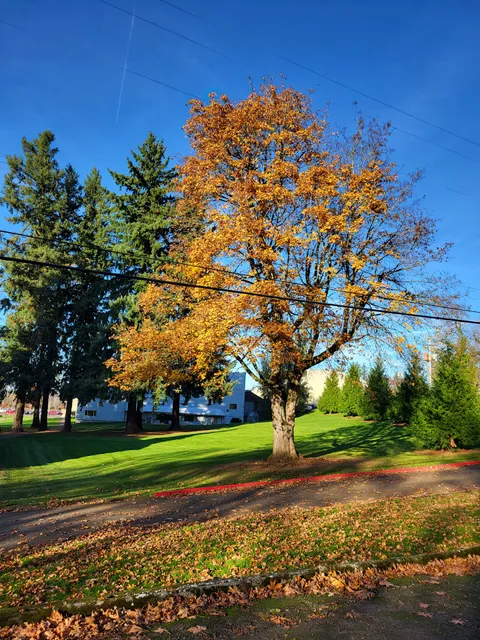 Portland Bible College