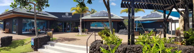 Maui Ocean Treasures