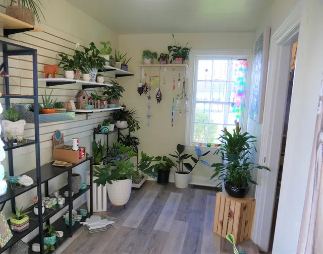 The Healing Sanctuary