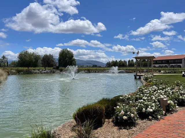 Ponte Winery Weddings