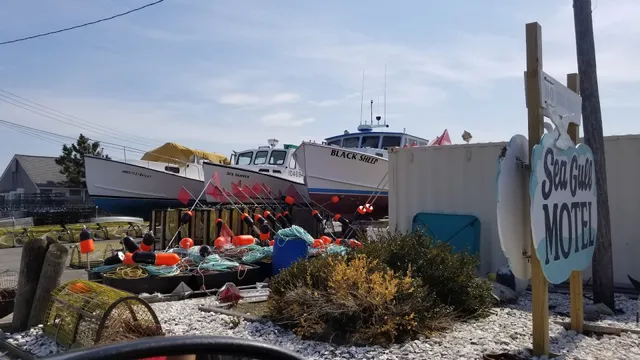 Sea Gull Motel