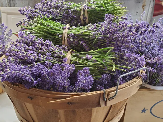 Farmer in the Dell Produce
