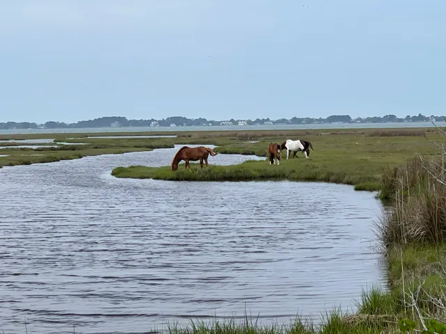 Assateague State Park Headquarters