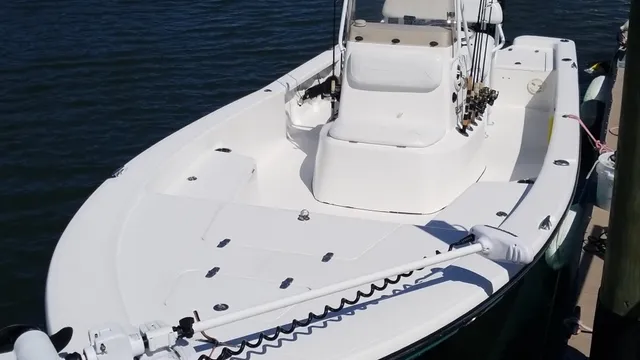 Gulf to Bay Fishing Charters