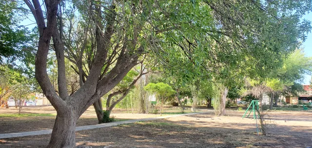 Rincón del Valle Park