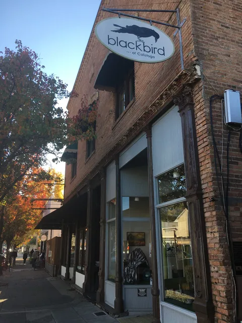 Blackbird of Calistoga