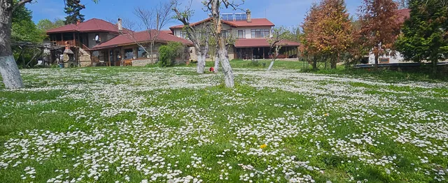 Къща за гости Дъбравата