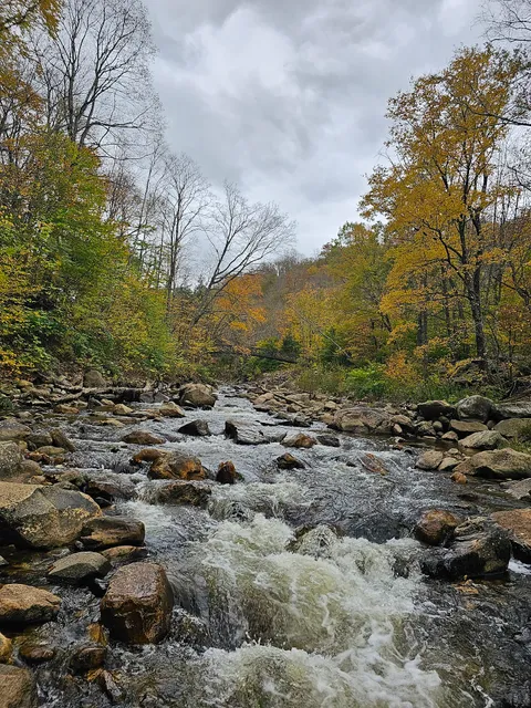Appalachian National Scenic Trail / Long Trail AT/LT Route 9 Trailhead