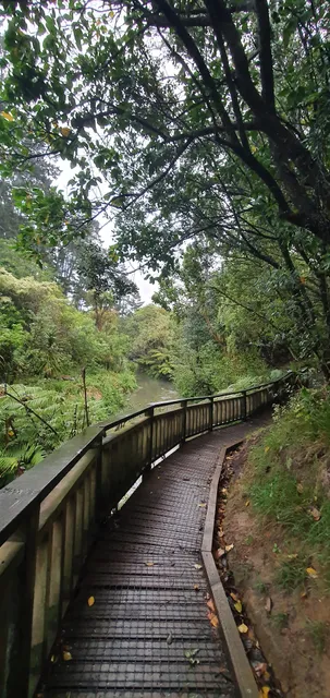 Oakley Creek Te Auaunga Walkway