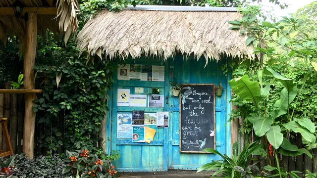 GypSea Café | Playa Chiquita