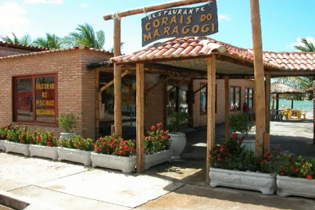 Receptive agency Maragogi corals