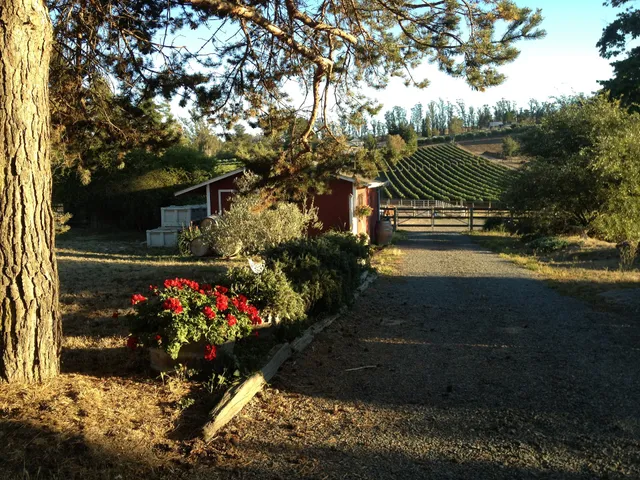 Moondance Cellars