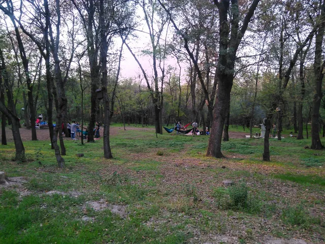 Lauta Park