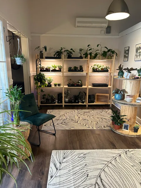 Just Breathe Holistic Wellness