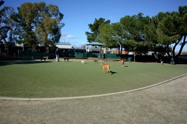 Dog Park | Los Gatos Creek