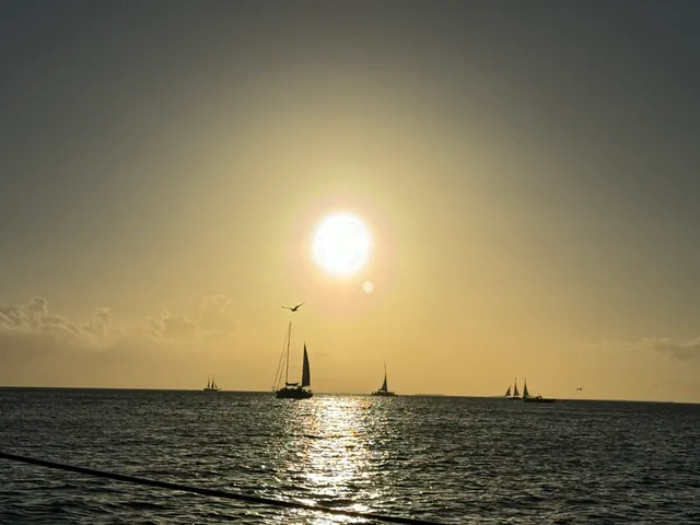 Catamaran Echo - Downtown