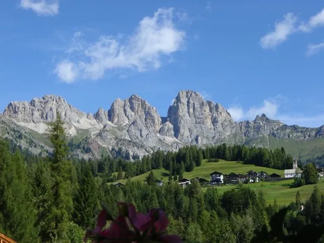 Piccola Stella Alpina