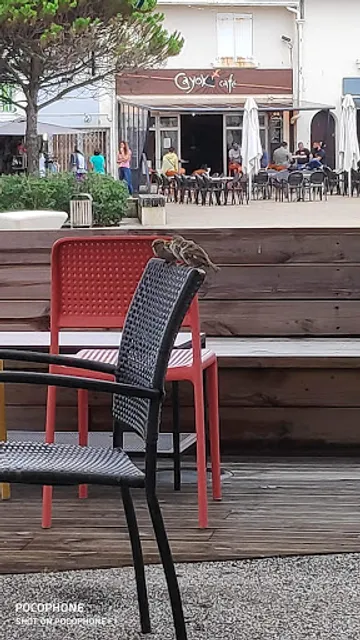 L’ Açaï Tropical Café