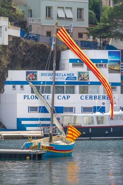 Plongée Cap Cerbère