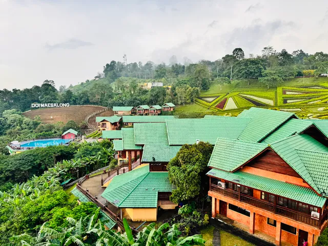 Mae Salong Flower Hills