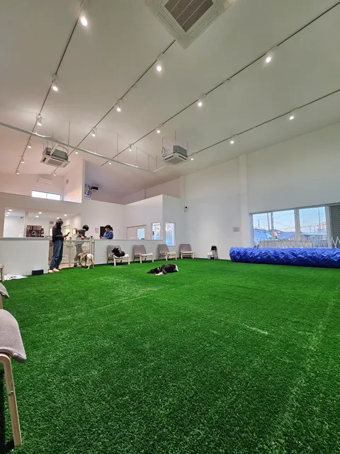 sunny sonny室内ドッグラン＆ドッグカフェ（無人カフェ）