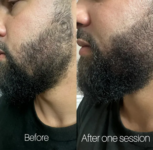 Divine Brows and Beauty