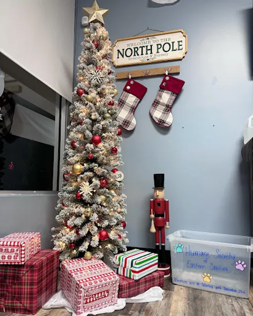 Flamingo Joe's - Harbor Park