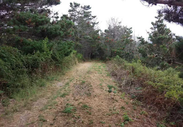 Sunset Overlook Trail