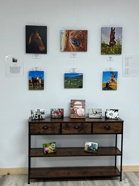 Main Street Gallery and Art Center