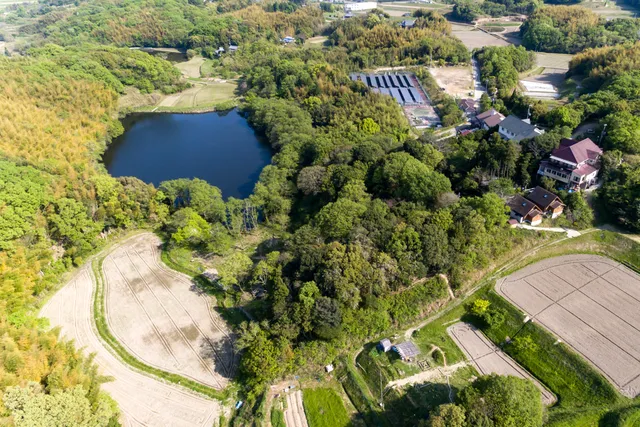 淡路島マンモス