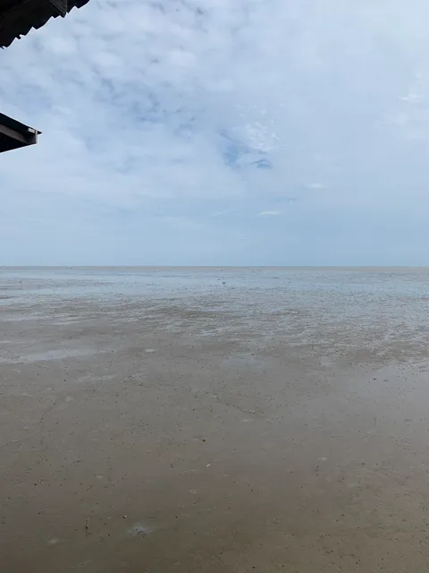 photo-1