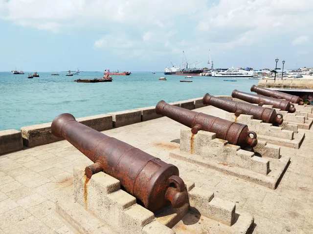 Zanzibar Cannons