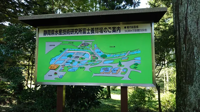 Shizuoka Prefectural Fisheries Technology Institute Fuji Yomasu field