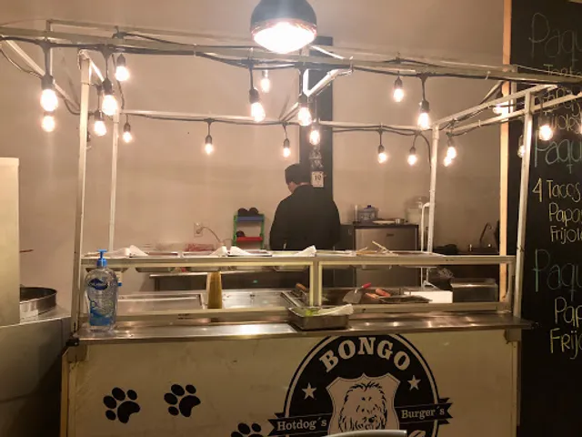 Bongo Dogo's
