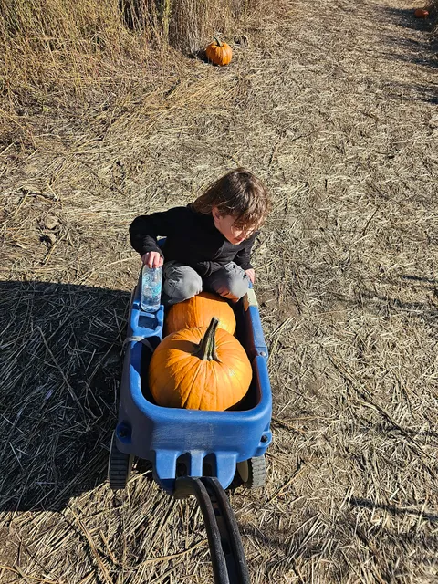 Tucker and Becky’s Pumpkin Patch