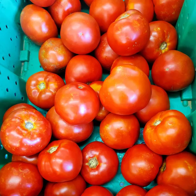 Miller Farm Fresh Produce