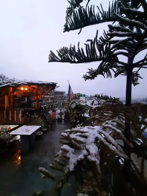 Hipostel Pithoragarh (Cafe Morrison)