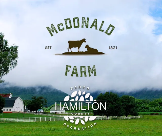 Old McDonald's Farm