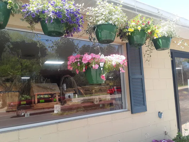 Hubert Williams Tomato Packers