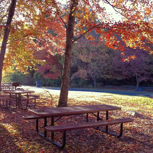 Watertown Parks & Recreation