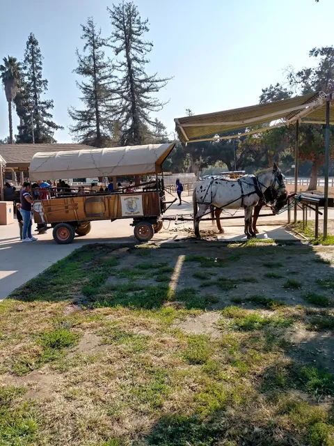 Griffith Park / Pony Rides