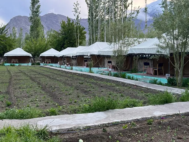 Mystique Meadows Swiss Cottages