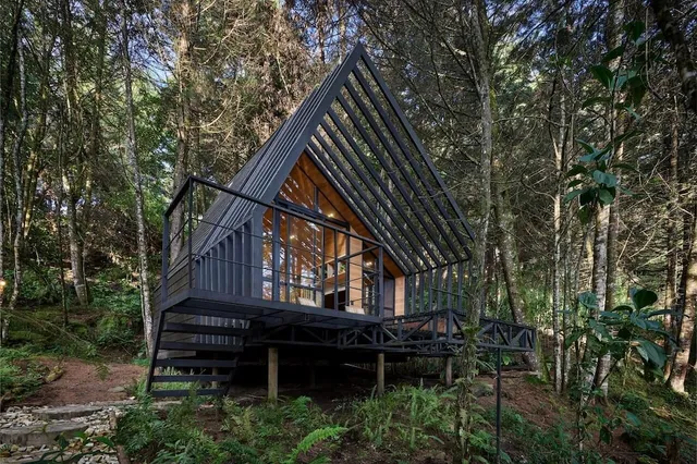 Oculto - Refugio de Bosque