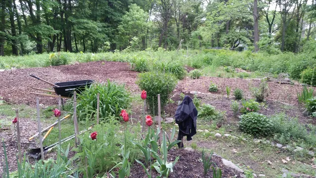 Hadwen Arboretum at Clark University