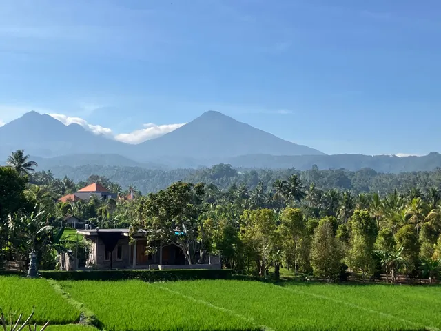 The Aroma Villa Munduk