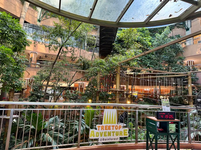 Treetop Adventure Rope Course